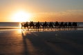 Panoramic shot of men and camels walking in the shore during sunset