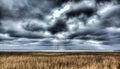 Panoramic shot of an open field on a stormy clouds background Royalty Free Stock Photo