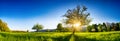 Panoramic shot of rural landscape with clear blue sky Royalty Free Stock Photo