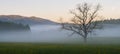 Panoramic shot of the soft sunrise in Cades Cove in Great Smoky Mountains National Park Royalty Free Stock Photo