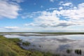 panoramic shot of a tranquil, flat marshland under a cloudy sky