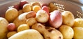Panoramic shot of a variety of potatoes in a strainer pot