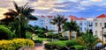 Panoramic shot of white buildings surrounded by bushes and palm trees Royalty Free Stock Photo