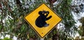 Panoramic shot of a yellow and black koala sign hanging on a tree Royalty Free Stock Photo