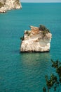 Panoramic sight of the famous Baia delle Zagare in the Gargano national park Royalty Free Stock Photo