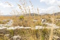 Panoramic SIghts of The Acropoli at Segesta Archaeological Park in Trapani, Italy.