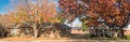 Panoramic single story bungalow houses in suburbs of Dallas with bright fall foliage colors Royalty Free Stock Photo