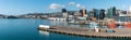Panoramic skyline of Wellington from ferry harbor