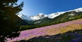 Panoramic spring view of chocholowska valley in Tatra mountain