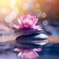 Panoramic still life for harmony in spa, massage or yoga. Royalty Free Stock Photo