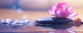 Panoramic still life for harmony in spa, massage or yoga. Royalty Free Stock Photo