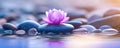 Panoramic still life for harmony in spa, massage or yoga. Royalty Free Stock Photo