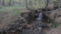 Stream in an autumn forest