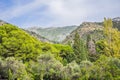 Panoramic summer landscape of the beautiful green Royal park Milocer on the shore of the the Adriatic Sea, Montenegro Royalty Free Stock Photo