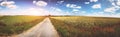 Panoramic summer landscape with country road and poppy flowers Royalty Free Stock Photo