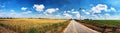 Panoramic summer landscape with country road and wind turbines Royalty Free Stock Photo
