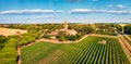 Panoramic summer view from flying drone of Pomposa Abbey tower among the green vineyards. Royalty Free Stock Photo