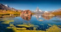 Panoramic summer view of Stellisee lake. Royalty Free Stock Photo