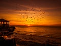 Panoramic sunrise in Eastern Shore