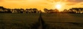 Panoramic Sunset and Path in a Field Panorama Web Banner Header