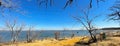 Panoramic tall dormant and bare trees along sandy shoreline of Lake Lewisville near Dallas, Texas, America