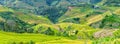 Panoramic terracing grain season in highlands Yen Bai, Vietnam