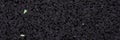 Panoramic texture of black foam rubber, close-up. Panorama Royalty Free Stock Photo