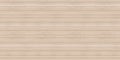 Panoramic texture of light wood with knots. Vector illustration