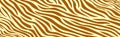 Panoramic texture zebra skin set of chaotic lines - Vector Royalty Free Stock Photo