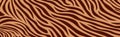 Panoramic texture zebra skin set of chaotic lines - Vector Royalty Free Stock Photo