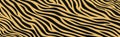 Panoramic texture zebra skin set of chaotic lines - Vector Royalty Free Stock Photo