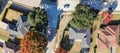 Panoramic top straight down view single-family houses in autumn season near Dallas