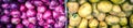 Panoramic top view pile of fresh white potatoes and red shallot onions at farmer market in Singapore Royalty Free Stock Photo
