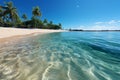 Panoramic tropical beach, golden sand, palm trees, turquoise sea, blue sky Royalty Free Stock Photo