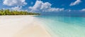 Panoramic tropical landscape, beach shore with palm trees and relaxing lagoon bay. Exotic nature tranquility, sunny blue sky Royalty Free Stock Photo