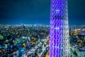 Panoramic urban city skyline aerial view under twilight sky and neon night in tokyo, Japan