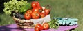 Panoramic vegetables Royalty Free Stock Photo