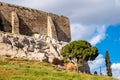 Panoramic view of Acropolis hill walls seen from Theatre of Dionysos Eleuthereus ancient Greek theater in Athens, Greece