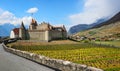 Panoramic view of the Aigle castle and vineyards in swiss Alps mountains, Switzerland Royalty Free Stock Photo