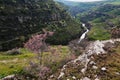 Panoramic view of Aksu canyon with a river in rocks in spring in Kazakhstan Royalty Free Stock Photo