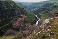 Panoramic view of Aksu canyon with a river in rocks in spring in Kazakhstan