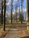 Panoramic view of the alleys in the Gorki Leninskiye Museum-Reserve in autumn