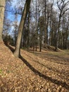 Panoramic view of the alleys in the Gorki Leninskiye Museum-Reserve in autumn