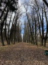 Panoramic view of the alleys in the Gorki Leninskiye Museum-Reserve in autumn