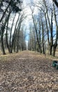 Panoramic view of the alleys in the Gorki Leninskiye Museum-Reserve in autumn