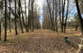 Panoramic view of the alleys in the Gorki Leninskiye Museum-Reserve in autumn