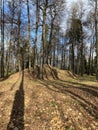 Panoramic view of the alleys in the Gorki Leninskiye Museum-Reserve in autumn