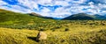 Landscape Panorama on Guanella Pass Royalty Free Stock Photo