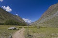 Panoramic view of Altay mountain