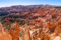 Panoramic view of amazing hoodoos sandstone formations in scenic Bryce Canyon National Parkon on a sunny day.